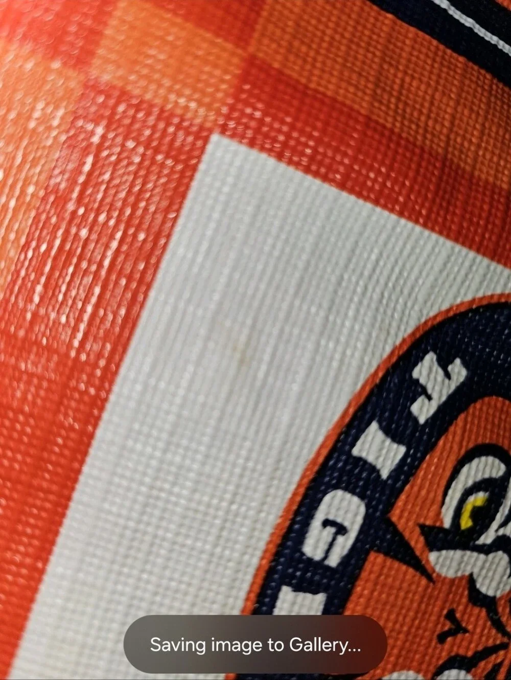 Auburn Tigers perfect au